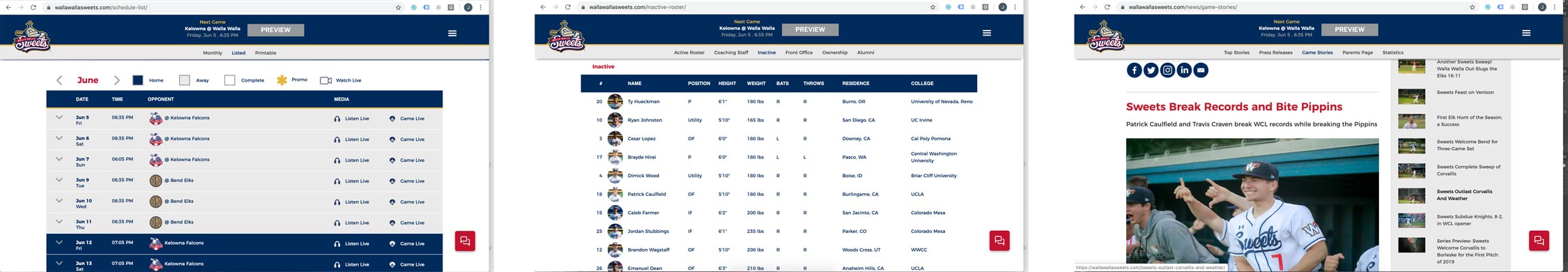 Walla Walla Sweets website is an example of a custom wordpress theme by Wonderboy
